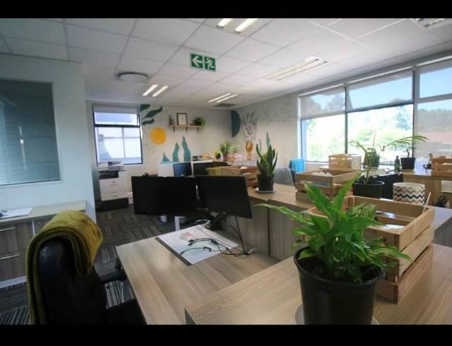 OFFICE PROPERTY TO RENT IN MONTROSE